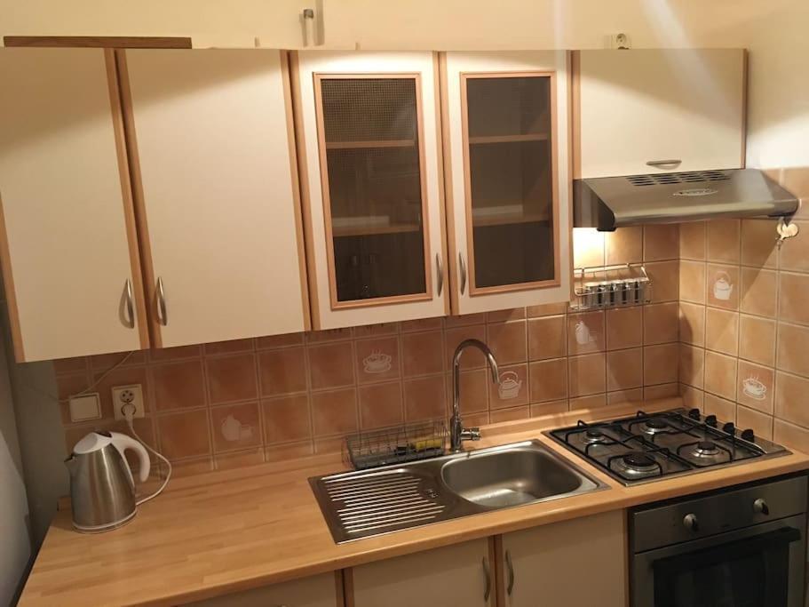 Utulne Ubytovani U Centra V Blizkosti Vystaviste Brno Bagian luar foto