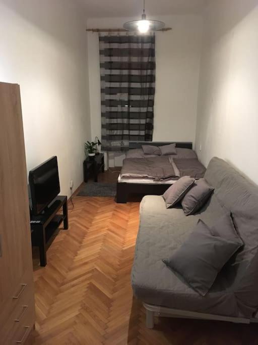 Utulne Ubytovani U Centra V Blizkosti Vystaviste Brno Bagian luar foto